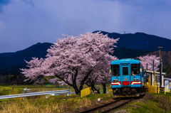 『岐阜』 撮り鉄デビュー戦～樽見鉄道～