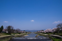 『京都』 鴨川