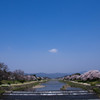 『京都』 鴨川