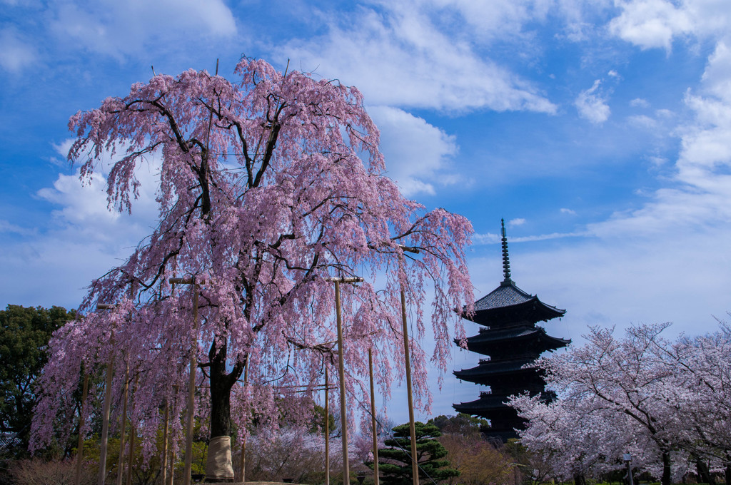 『京都』 東寺