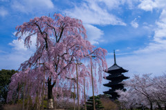 『京都』 東寺