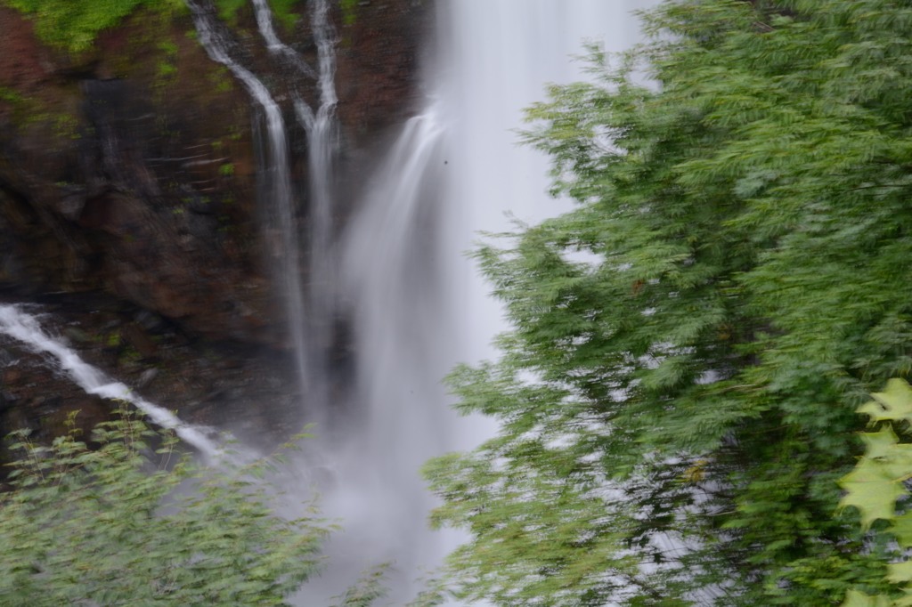 日光_20140824_48