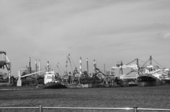 DSC_2201