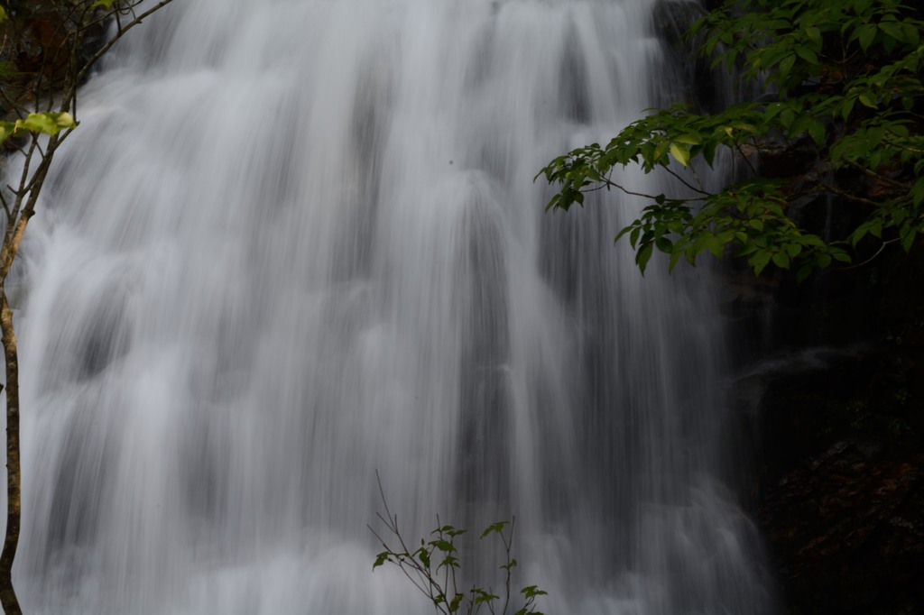 日光_20140824_28
