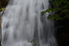日光_20140824_28