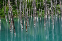 青い池