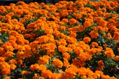 大村公園