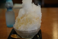 日光_20140824_35
