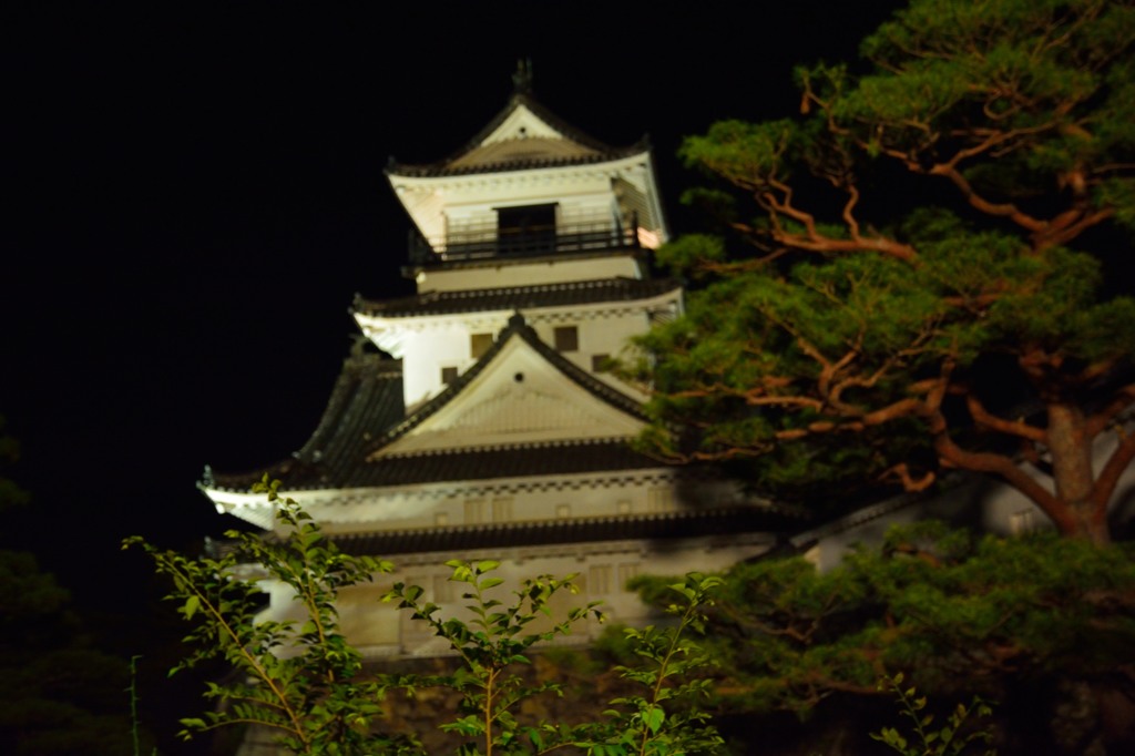 夜の高知城