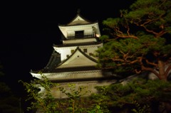夜の高知城