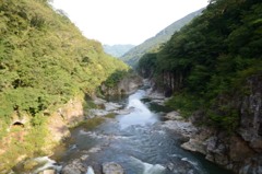 日光_20140824_11