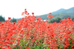 群馬_みなかみエリア_20140830_29