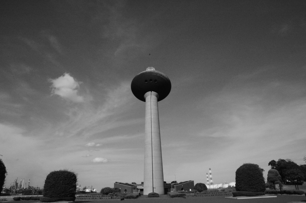 DSC_2203