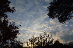 雲仙地獄の夕暮れ