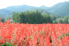 群馬_みなかみエリア_20140830_30