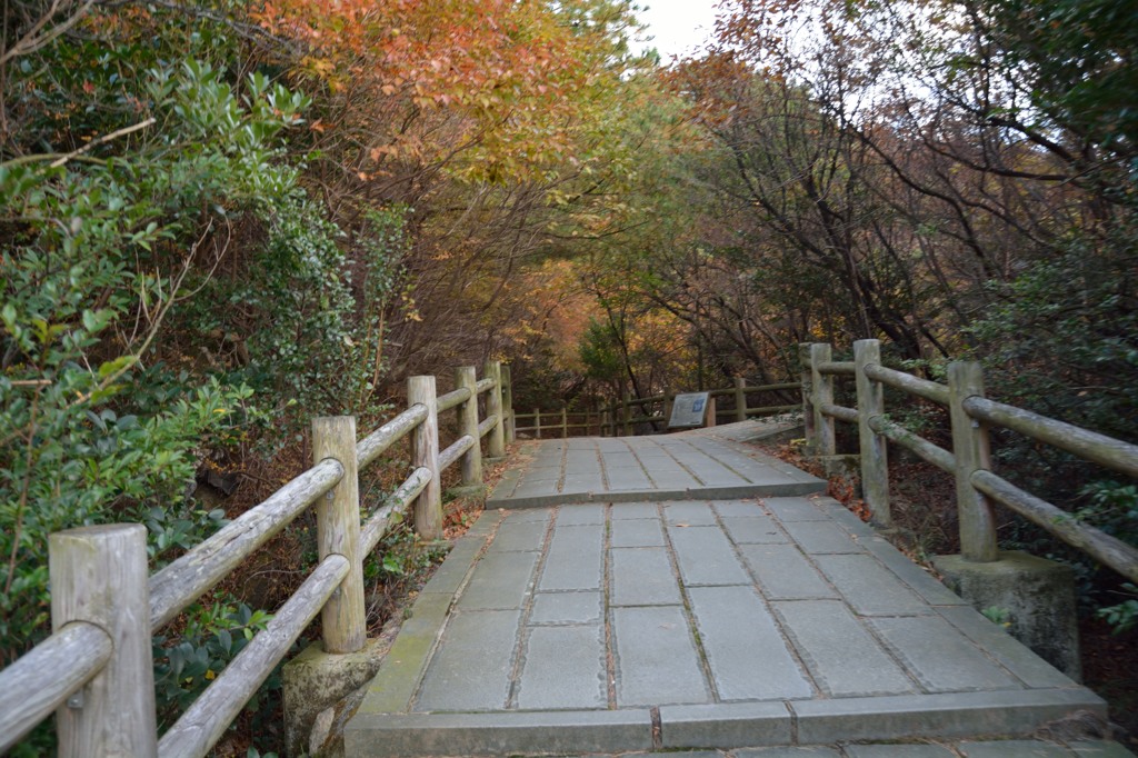 雲仙_20141116_28