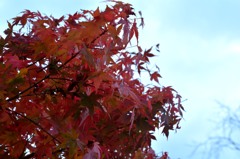 日光_20141019_1