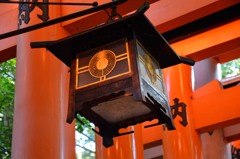 千本鳥居内のランプ