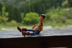 ウッディの休暇