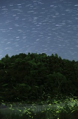軌跡