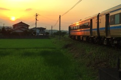 夕日に向かって