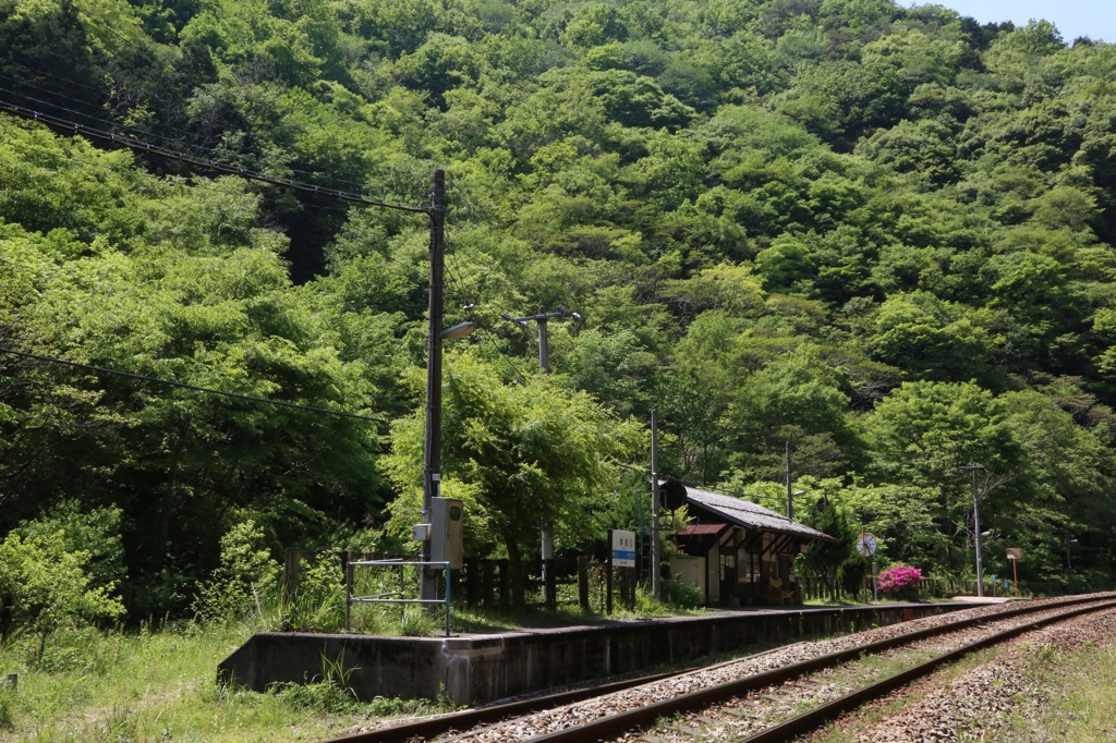 秘境駅
