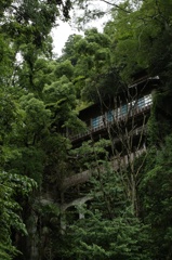 金光山 仙龍寺