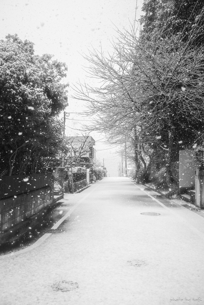 雪路