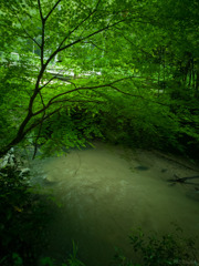 緑光、色づく小渓