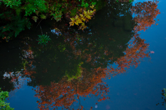 湖面の紅葉