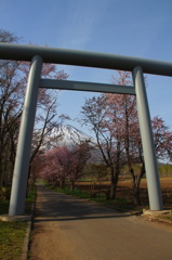 真狩神社
