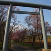 真狩神社