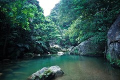 水場