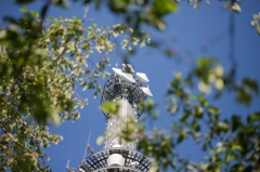 木陰からの電波塔
