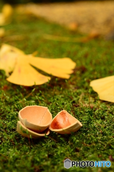 DSC_7191_Rc