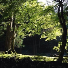 永平寺