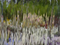 water curtain