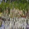water curtain