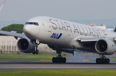 ANA　スタアラ機 w