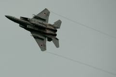 F-15　ベイパー