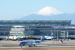 はい・ポーズ！
