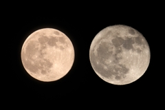 ストロベリー vs スーパームーン