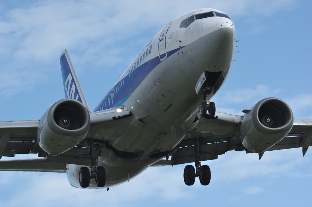 B737