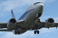 B737