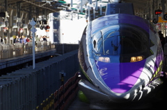 ＴＹＰＥ　ＥＶＡ