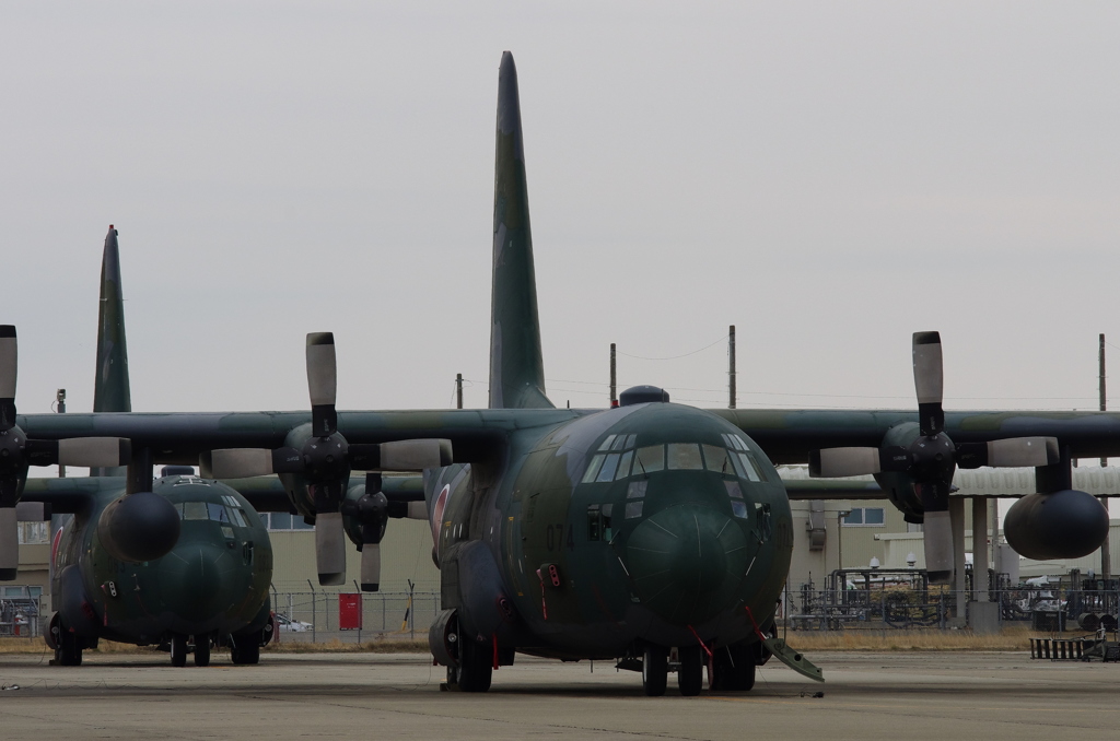 C-130H