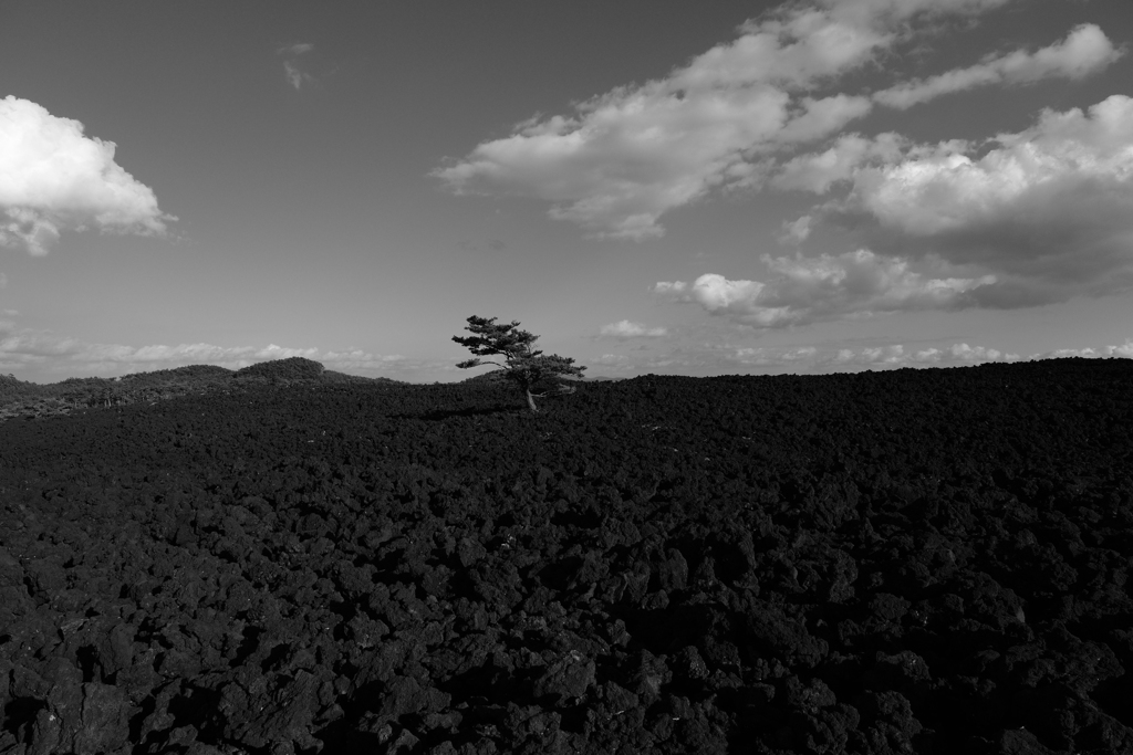 荒涼たる世界