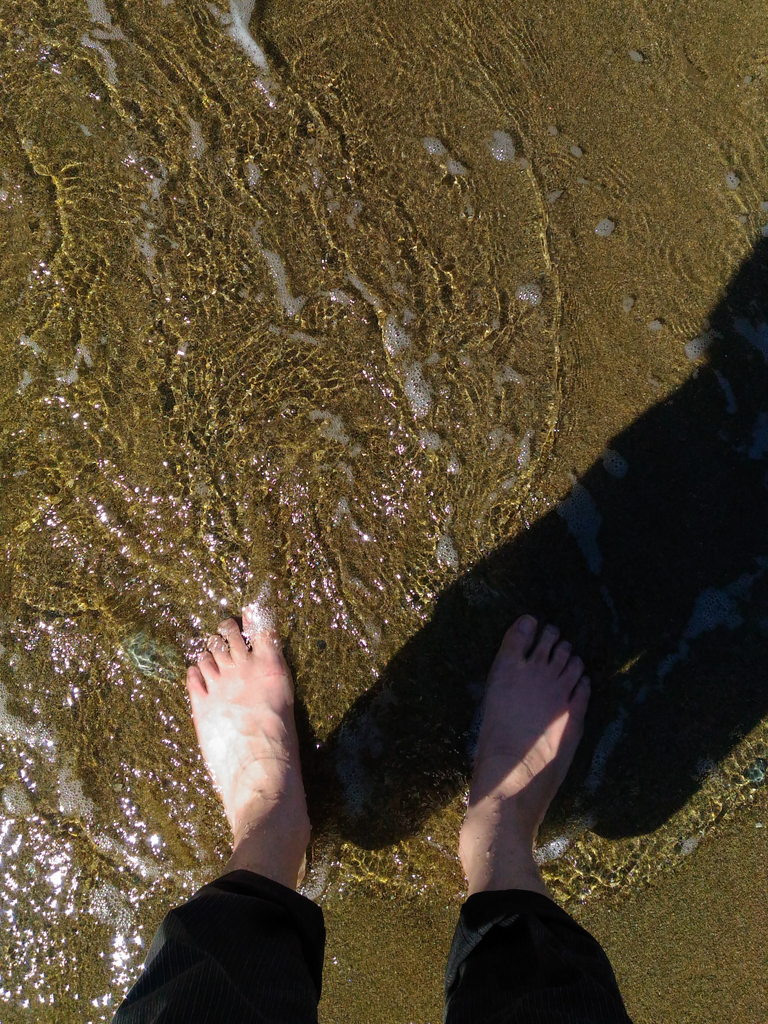 ある夏の日