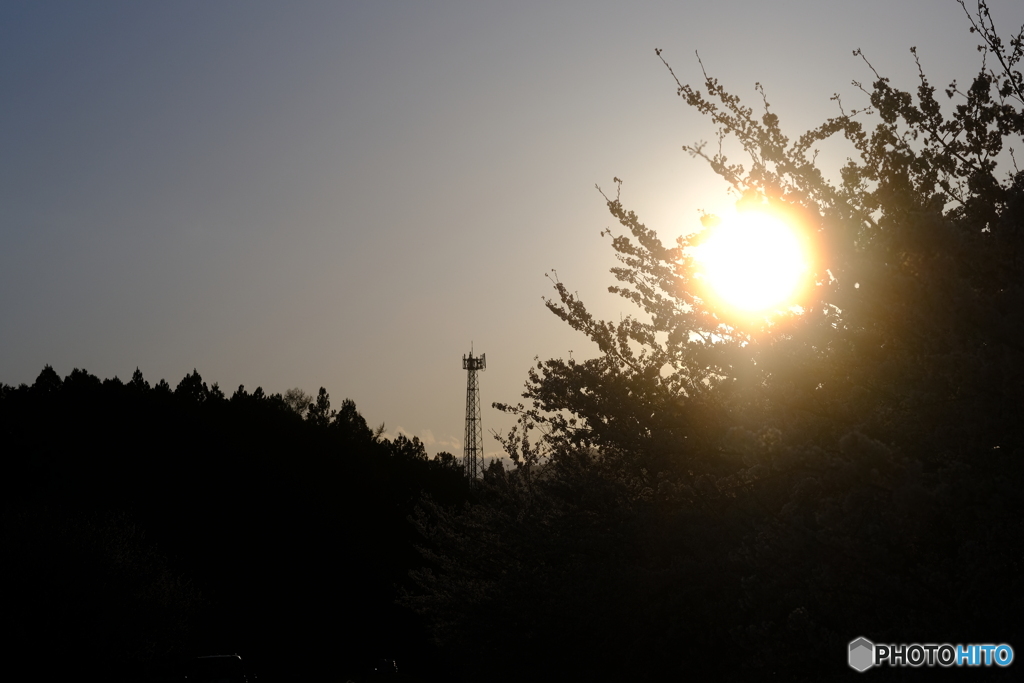 夕景スナップ