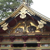 象